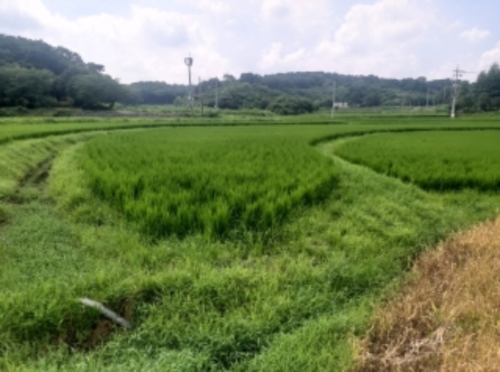 2024타경56953