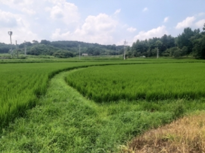 2024타경56953