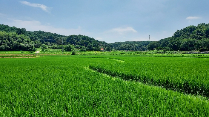 2024타경56953