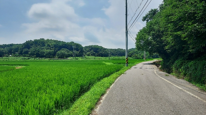 2024타경56953