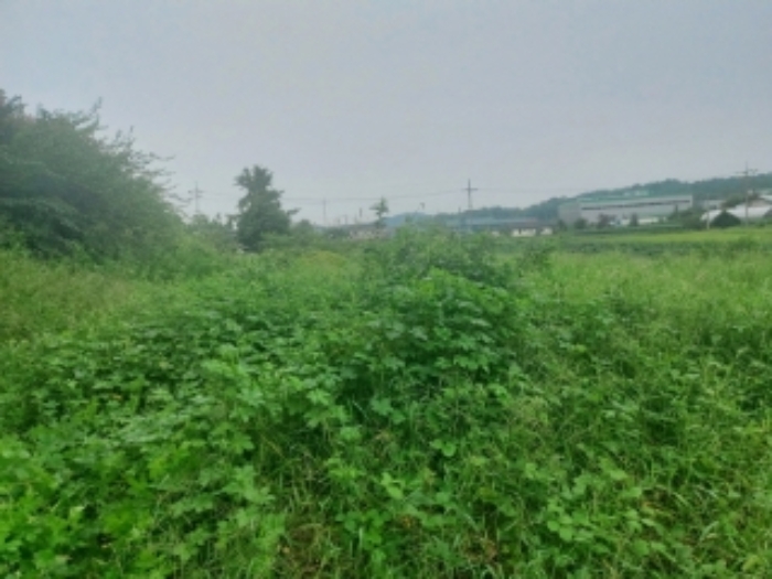 2024타경57451