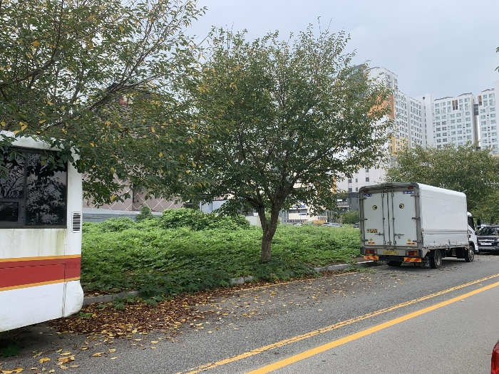 2024타경58256