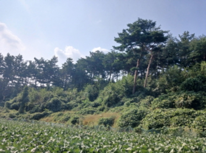 2024타경59044