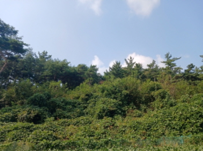 2024타경59044
