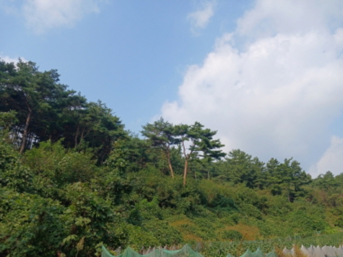 2024타경59044