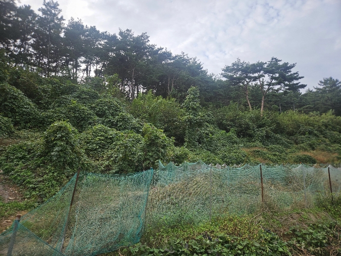 2024타경59044