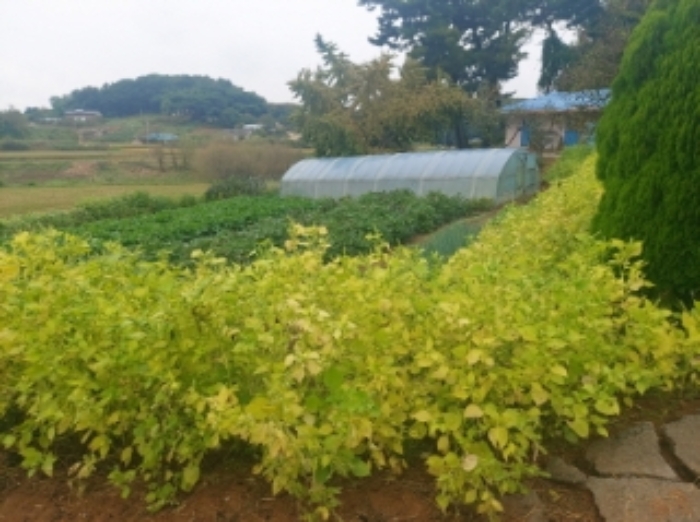 2.목록 토지