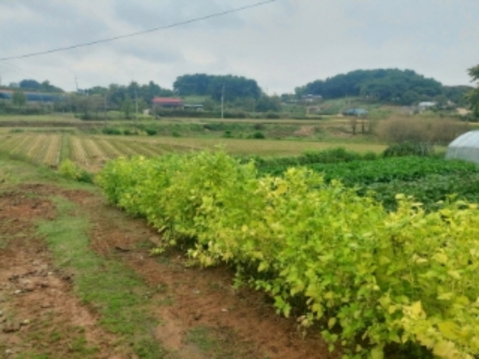 2.목록 토지