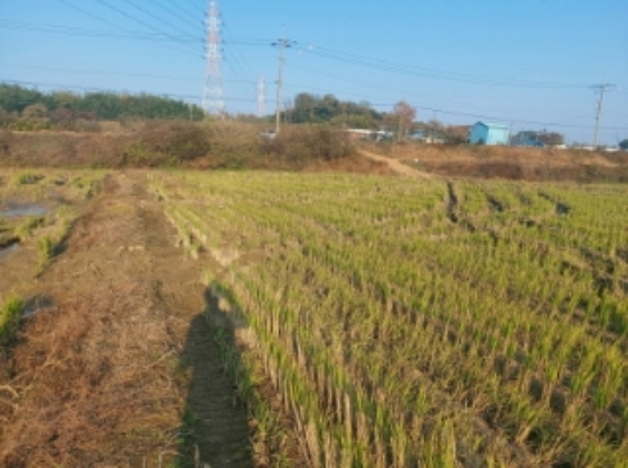 2024타경60006