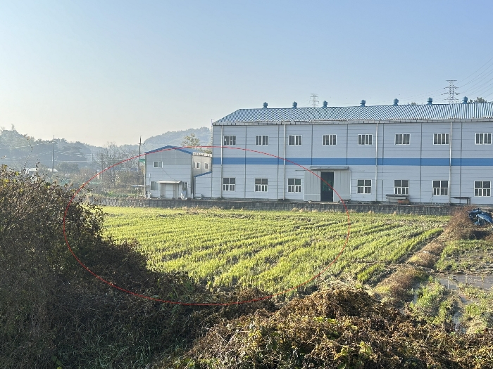 본건 전경