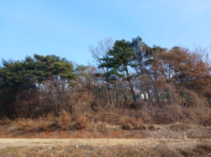 2024타경61115