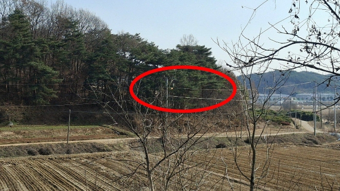 본건 전경(서측 인근에서 촬영)