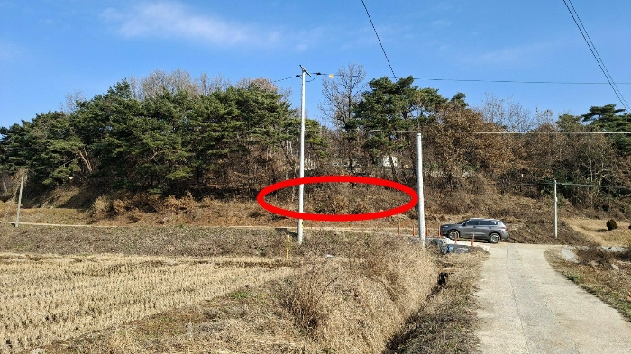 본건 전경(남서측 인근에서 촬영)