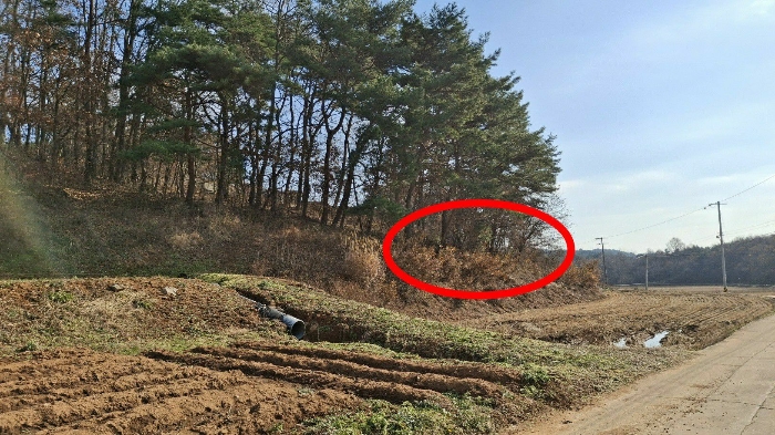 본건 전경(북서측 인근에서 촬영)