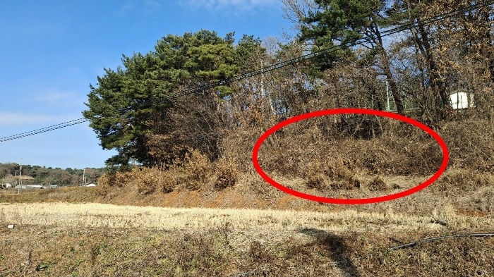 본건전경(남서측 인근에서 촬영)