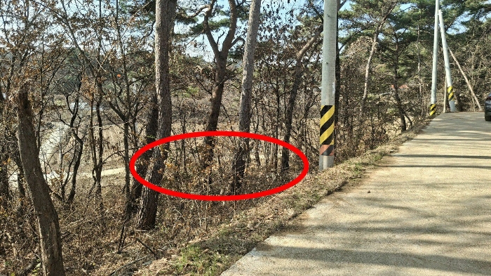 본건 전경(북동측 도로변에서 촬영)