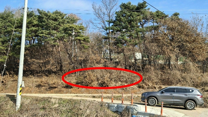 본건 전경(남서측 인근에서 촬영)