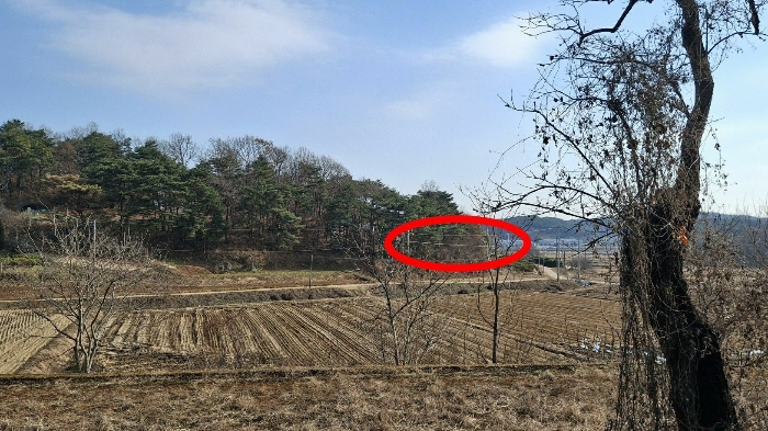 본건 전경(서측 근거리에서 촬영)