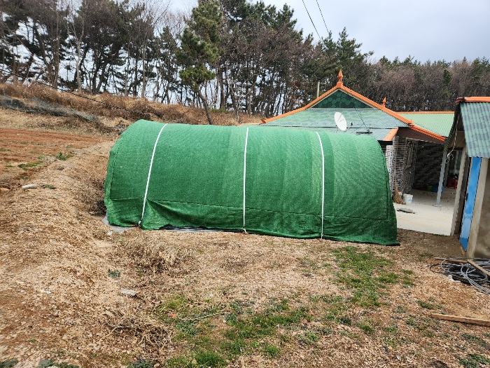 제시외건물 ㉠
