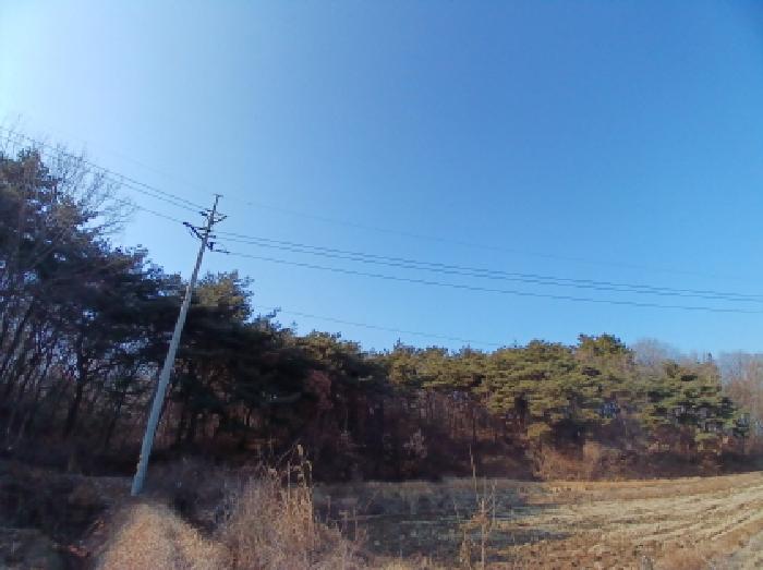 전경