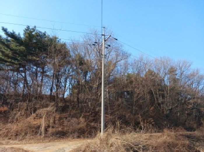 전경