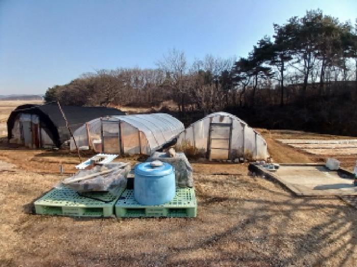 제시외 비닐하우스 3동 및 밭(서쪽 경계 부근)