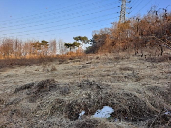 남쪽부분