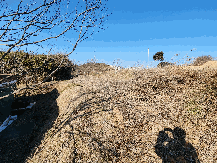 기호 1 전경(남측에서 촬영)