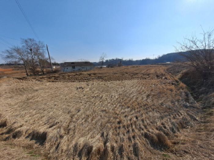 동쪽부분 전경