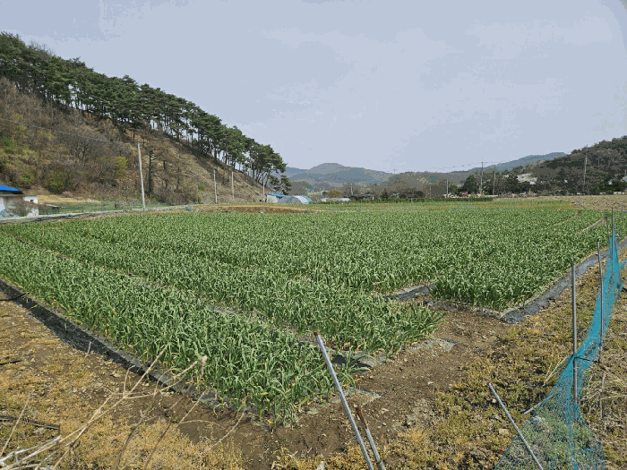 본건 전경 (서측 촬영)