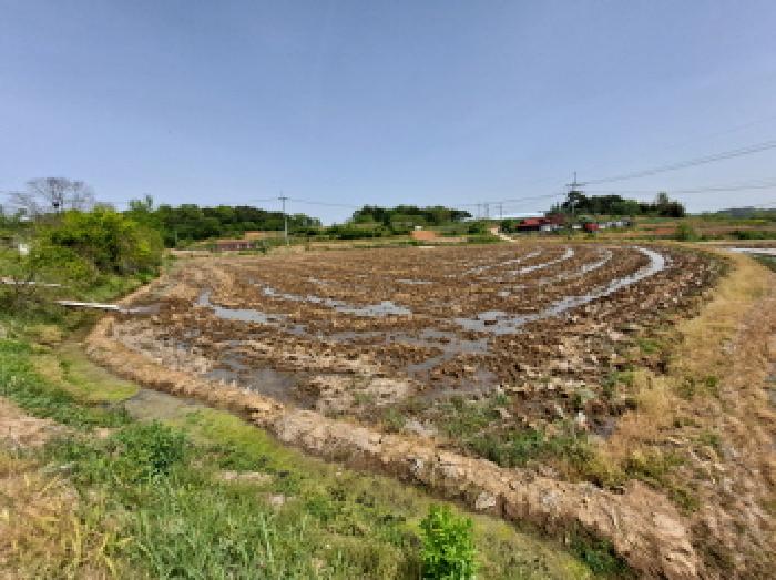 서쪽 경계부분