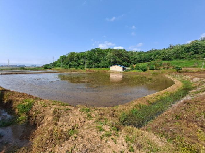 목록 2 서남쪽부분 위필지