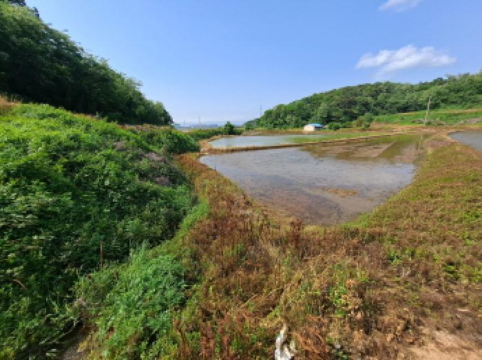 목록 3 서쪽부분