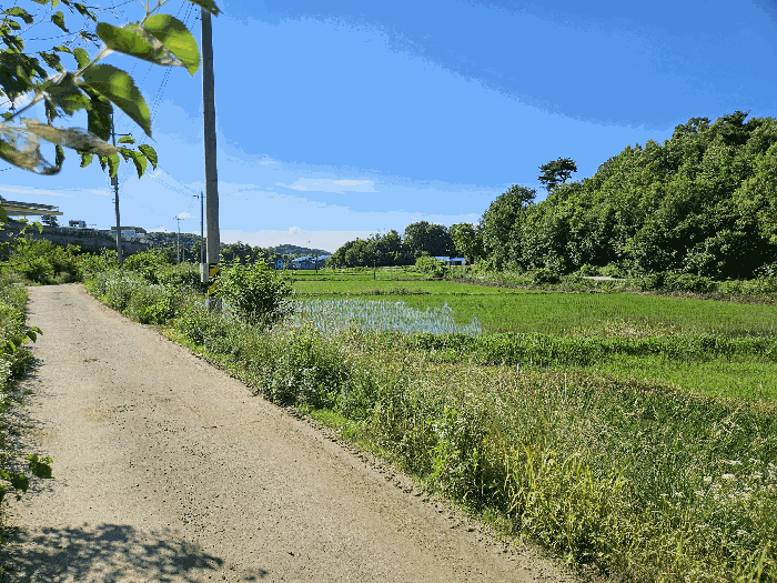 본건 전경 (남동측 촬영)