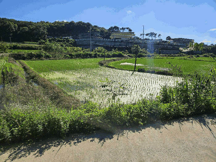 기호(3)토지 (동측 촬영)