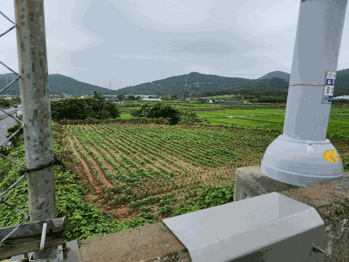 기호 2 근경(남측에서 촬영)