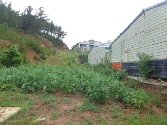 1021-6번지 남서쪽 가장자리 지상의 모습