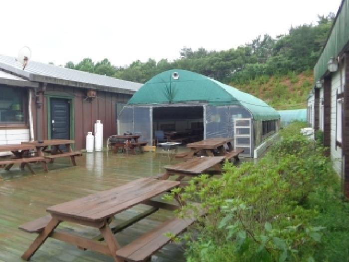 1021-2번지와 1021-7번지 지상에 걸쳐 있는 제시외 비닐하우스와 주변 모습