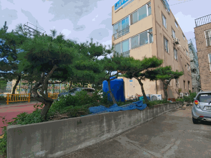 제시외수목 ㉡ 전경