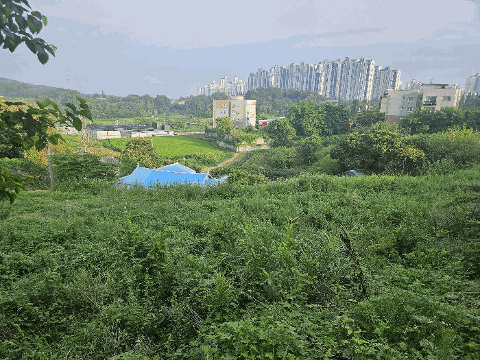 본건 인근환경