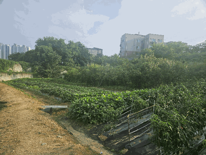 본건 전경 (북동측 촬영)