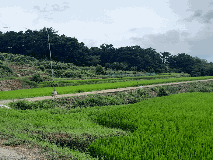 본건 전경 (근거리 촬영)