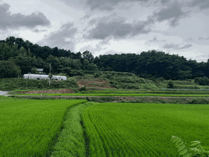 본건 전경 (원거리 촬영)