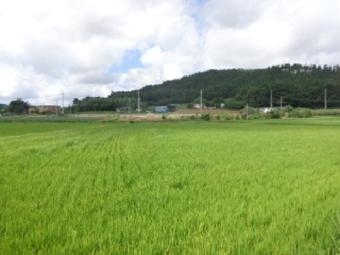 남쪽에서 바라본 모습