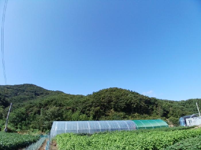 전경(임야)