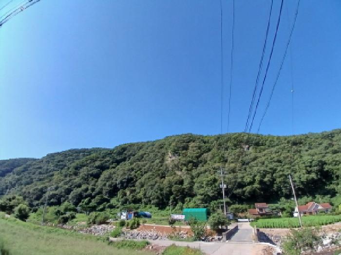 전경(임야)