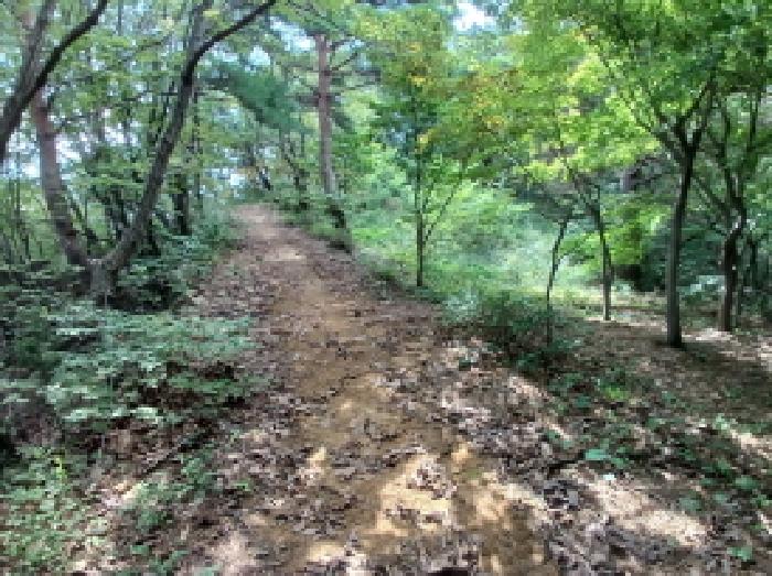 목록3(내부)