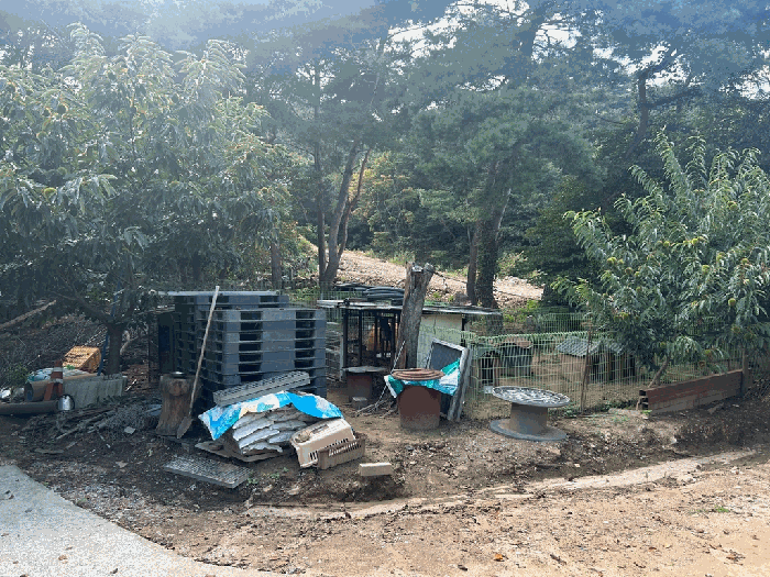 일련번호 2