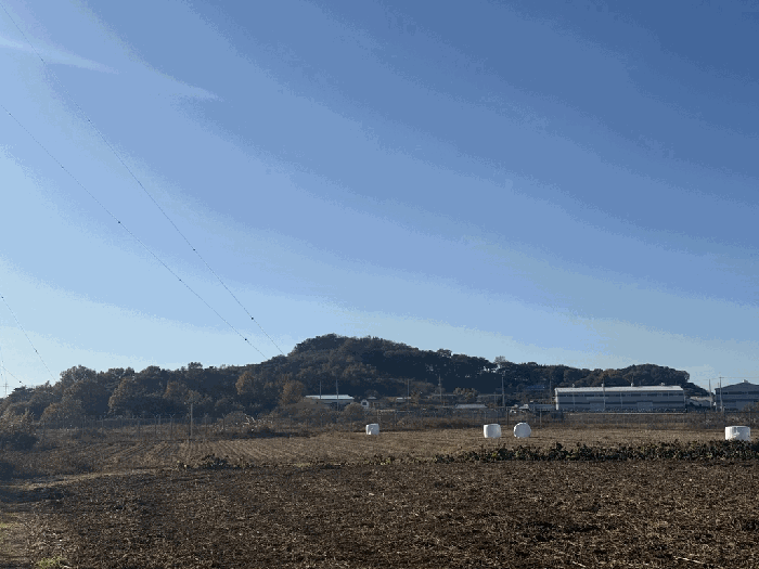 본건 전경1