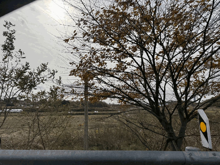 본건 전경2